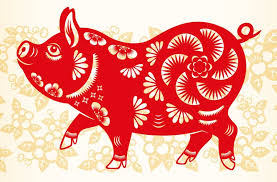 Year Of The Pig